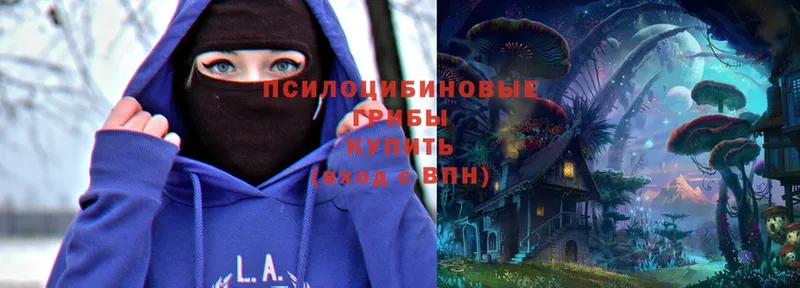 Галлюциногенные грибы Cubensis  где найти   Андреаполь 